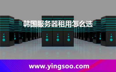 韓國(guó)服務(wù)器租用怎么選 韓國(guó)服務(wù)器租用怎么選