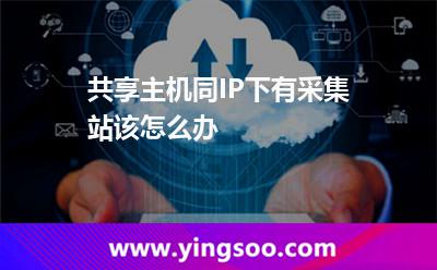 共享主機(jī)同IP下有采集站該怎么辦 共享主機(jī)同IP下有采集站該怎么辦