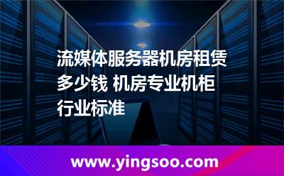 流媒體服務器機房租賃多少錢 機房專業(yè)機柜行業(yè)標準  流媒體服務器機房租賃多少錢 機房專業(yè)機柜行業(yè)標準