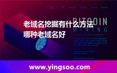 域名網(wǎng)站