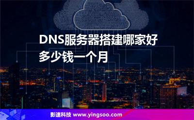 DNS服務(wù)器搭建哪家好，多少錢一個(gè)月