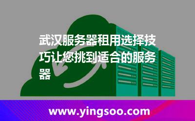 服務(wù)器挑選_武漢服務(wù)器租用選擇技巧讓您挑到適合的服務(wù)器  服務(wù)器挑選