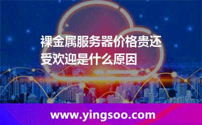 裸金屬服務器價格貴還受歡迎是什么原因 服務器金屬