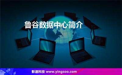 魯谷數(shù)據(jù)中心簡(jiǎn)介