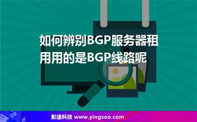租用線路:如何辨別BGP服務(wù)器租用用的是BGP線路呢 租用線路