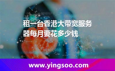 租一臺(tái)香港大帶寬服務(wù)器，每月要花多少錢