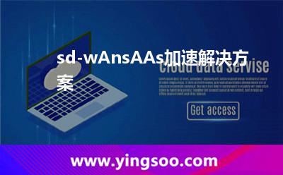 sd-wAnsAAs加速解決方案 sd-wAnsAAs加速解決方案