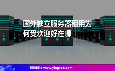 國外獨立服務器租用為何受歡迎好在哪 國外獨立服務器租用為何受歡迎好在哪