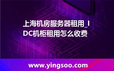 上海機(jī)房服務(wù)器租用_IDC機(jī)柜租用怎么收費(fèi)  上海機(jī)房服務(wù)器租用_IDC機(jī)柜租用怎么收費(fèi)