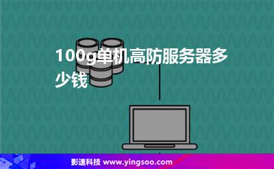 100g單機(jī)高防服務(wù)器多少錢