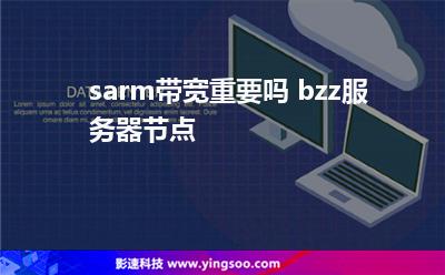 sarm帶寬重要嗎 bzz服務器節(jié)點 sarm帶寬重要嗎 bzz服務器節(jié)點