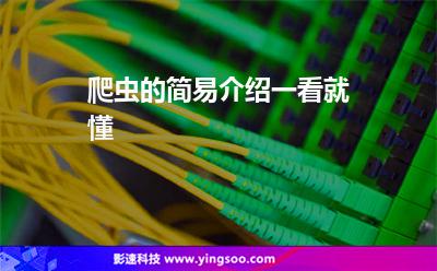 爬蟲的簡易介紹，一看就懂