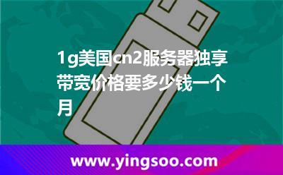 1g美國cn2服務器獨享帶寬價格要多少錢一個月? 1g美國cn2服務器獨享帶寬價格要多少錢一個月?