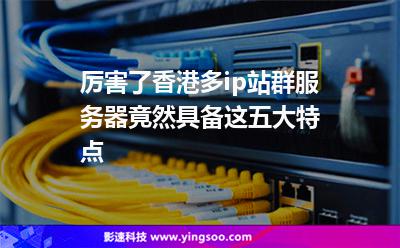 厲害了香港多ip站群服務(wù)器竟然具備這五大特點 厲害了香港多ip站群服務(wù)器竟然具備這五大特點