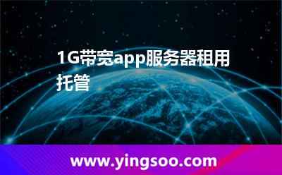服務(wù)器帶寬_1G帶寬app服務(wù)器租用托管  服務(wù)器帶寬