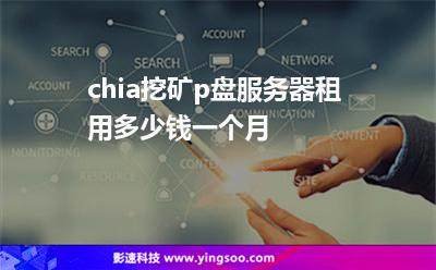 服務(wù)器挖礦:chia挖礦p盤服務(wù)器租用多少錢一個(gè)月 服務(wù)器挖礦