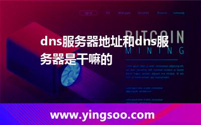 dns服務器地址和dns服務器是干嘛的? dns服務器地址和dns服務器是干嘛的?