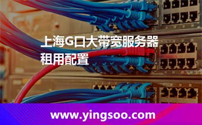 帶寬租用_上海G口大帶寬服務(wù)器租用配置  帶寬租用
