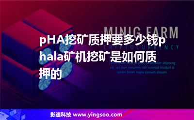 pHA挖礦質(zhì)押要多少錢，phala礦機挖礦是如何質(zhì)押的
