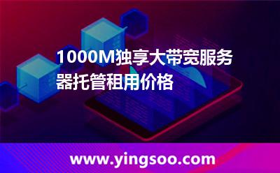 網(wǎng)絡帶寬帶寬_1000M獨享大帶寬服務器托管租用價格  網(wǎng)絡帶寬帶寬