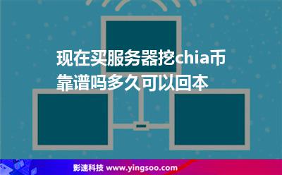 固態(tài)硬盤:現(xiàn)在買服務(wù)器挖chia幣靠譜嗎?多久可以回本 固態(tài)硬盤