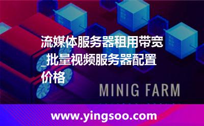 流媒體服務器租用帶寬_批量視頻服務器配置價格 流媒體服務器租用帶寬_批量視頻服務器配置價格