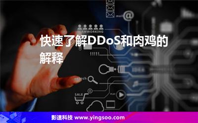 快速了解，DDoS和肉雞的解釋