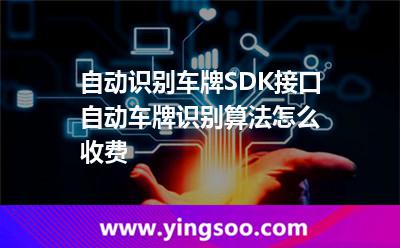 自動識別車牌SDK接口 自動車牌識別算法怎么收費  自動識別車牌SDK接口 自動車牌識別算法怎么收費