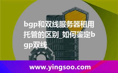 服務器提供商_bgp和雙線服務器租用托管的區(qū)別_如何鑒定bgp雙線  服務器提供商