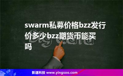 swarm私募價格，bzz發(fā)行價多少，bzz期貨幣能買嗎?