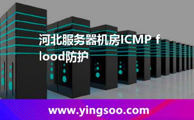 服務器進攻_河北服務器機房ICMP flood防護 服務器進攻