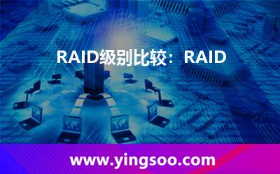 RAID級(jí)別比較：RAID&nbsp0，RAID&nbsp1，RAID&nbsp5，RAID&nbsp6和RAID&nbsp10