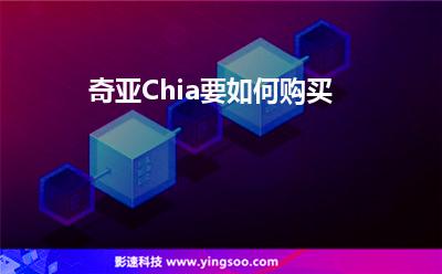 購(gòu)買所有者:奇亞Chia要如何購(gòu)買 購(gòu)買所有者