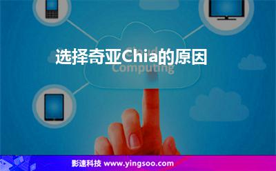 創(chuàng)新區(qū)塊:選擇奇亞Chia的原因 創(chuàng)新區(qū)塊
