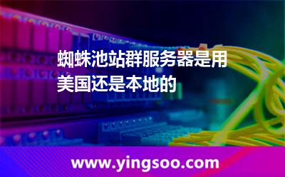 蜘蛛池站群服務(wù)器是用美國還是本地的