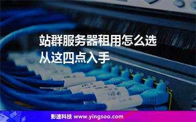 站群服務(wù)器租用怎么選從這四點入手 站群服務(wù)器租用怎么選從這四點入手
