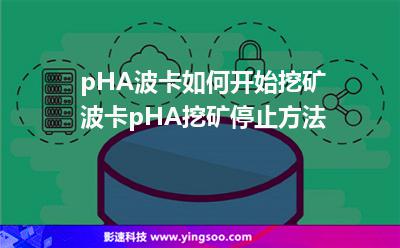 pHA波卡如何開始挖礦，波卡pHA挖礦停止方法