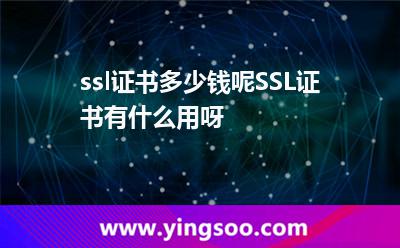 ssl證書多少錢呢SSL證書有什么用呀 ssl證書多少錢呢SSL證書有什么用呀