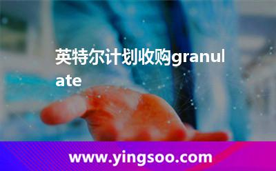 英特爾計(jì)劃收購granulate 英特爾計(jì)劃收購granulate
