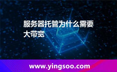 網(wǎng)絡帶寬數(shù)據(jù)