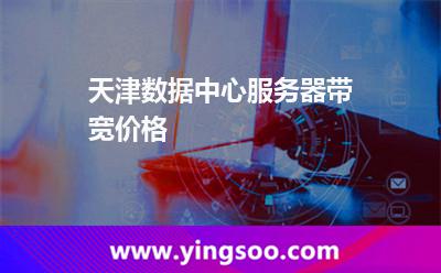 天津數(shù)據(jù)中心服務(wù)器帶寬價(jià)格 天津數(shù)據(jù)中心服務(wù)器帶寬價(jià)格