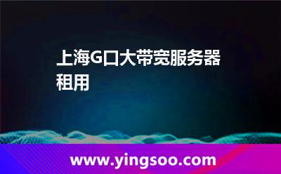 帶寬服務(wù)器_上海G口大帶寬服務(wù)器租用 帶寬服務(wù)器