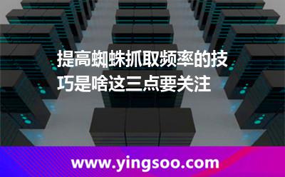 提高蜘蛛抓取頻率的技巧是啥這三點(diǎn)要關(guān)注 蜘蛛抓取