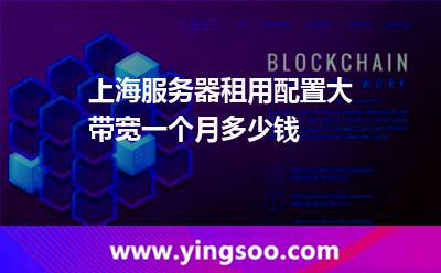 帶寬服務(wù)器_上海服務(wù)器租用配置大帶寬一個(gè)月多少錢(qián)  帶寬服務(wù)器