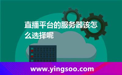 直播平臺(tái)的服務(wù)器該怎么選擇呢 直播平臺(tái)的服務(wù)器該怎么選擇呢