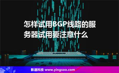 服務(wù)器試用:怎樣試用BGP線路的服務(wù)器,試用要注意什么 服務(wù)器試用