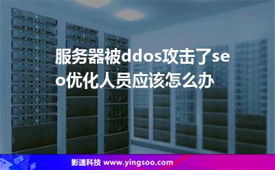 服務(wù)器被ddos攻擊了，seo優(yōu)化人員應(yīng)該怎么辦?
