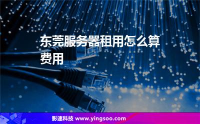 東莞服務(wù)器租用怎么算費用 東莞服務(wù)器租用怎么算費用