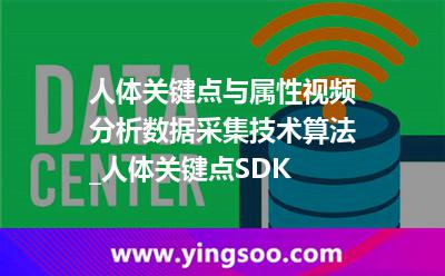 人體_人體關(guān)鍵點(diǎn)與屬性視頻分析數(shù)據(jù)采集技術(shù)算法_人體關(guān)鍵點(diǎn)SDK 人體