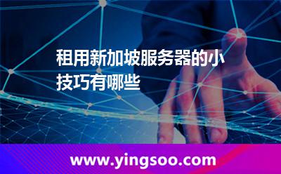 租用新加坡服務(wù)器的小技巧有哪些 租用新加坡服務(wù)器的小技巧有哪些
